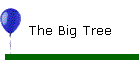 The Big Tree