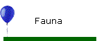 Fauna