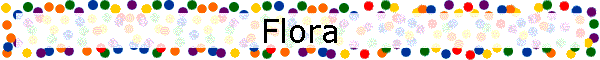 Flora